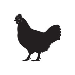Black silhouette of a chicken 