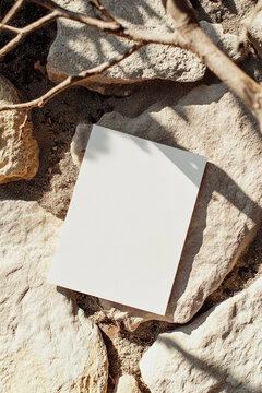 Product photography, a white paper magazine lying on a stone and wood branch, minimalism, a beige background, and bright light