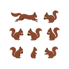 squirrel animal logo icon vector flat design illustrations © Graphic Ornaments