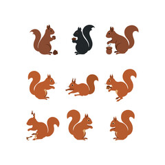squirrel animal logo icon vector flat design illustrations © Graphic Ornaments