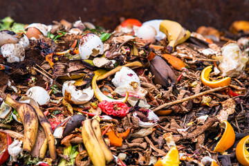 composting pile of vegetables fruits. Concept Organic waste, clean environment