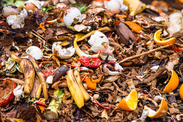 composting pile of vegetables fruits. Concept Organic waste, clean environment