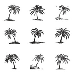 Tall Palm Tree Isolated vector art