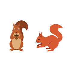 squirrel animal logo icon vector flat design illustrations © Graphic Ornaments