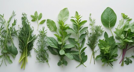 Obraz premium Various Fresh Green Organic Herbs and Leafy Vegetables with Copy Space