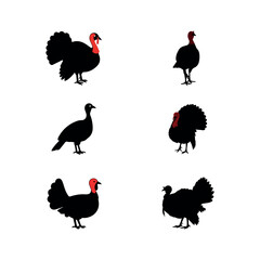 turkey chicken rooster hen poultry animals birds icon set silhouette vector art flat design illustrations