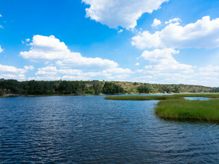 Spectacular panoramic views of the famous Chobe River and wetlands. Green vegetation on the river bank. Seen on a river cruise. Botswana, Africa. Tourism and vacation concept.