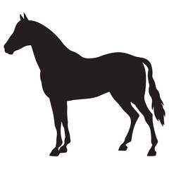 morgan horse silhouette, horse silhouette vector