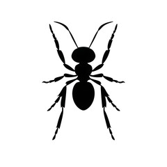 Sleek Ant Illustration in High-Definition Quality