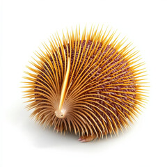 Fototapeta premium Golden Spiny Creature, 3D Render.