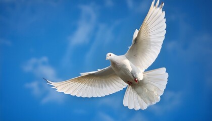 Obraz premium 幸福と平和の象徴の白い鳩5