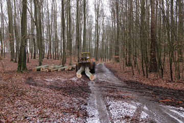 Holzrückung mit Forstschlepper LKT © ReNi