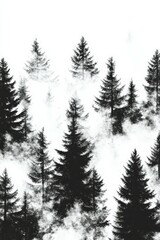 Fototapeta premium Misty forest landscape with towering pine trees at dawn