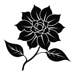 black and white flower isolated