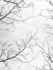 Fototapeta premium Intricate branches stretching against a cloudy sky