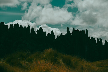 Bosque de piedras Huayllay Peru
