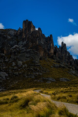 Bosque de piedras Huayllay Peru