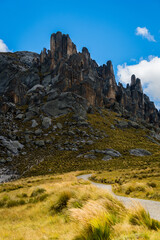 Bosque de piedras Huayllay Peru