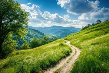 Naklejka premium Serene Mountain Pathway Through Lush Green Landscape