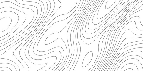 Abstract topographic contours map background, Vector contour topographic map background. Topography and geography map grid abstract backdrop, Modern design with White background.
