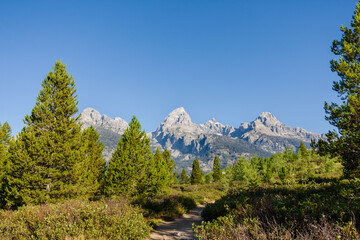 A view of the Grand Tetons as seen from the Bradley Lake trail, a popular hiking route in Grand Teton National Park, Wyoming, USA