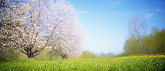 Lovely Blurred Spring Background with Blooming Glade, Trees, and Blue Sky on a Sunny Day. Made with generative AI
