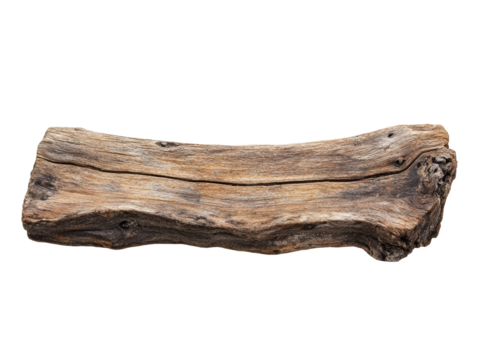 Isolated Piece of Driftwood