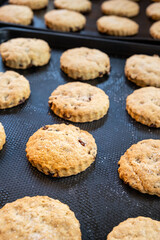 Home baked biscuits on a baking tray fresh out of the oven