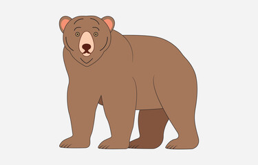 Hand drawn bear cute cartoon illustration on white background
