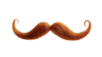 Vintage-inspired ginger curly mustache floating against transparent backdrop, lending classic retro character to graphic design