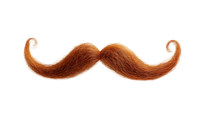 Vintage-inspired ginger curly mustache floating against transparent backdrop, lending classic retro character to graphic design