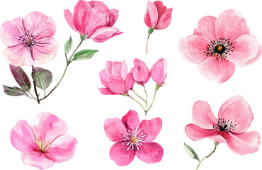 Fototapeta premium collage of pink and white flowers