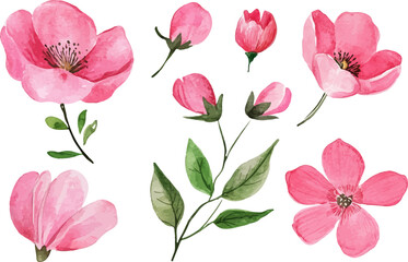 set of pink flowers