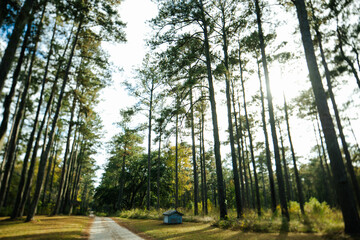 Obraz premium Road Trip South Carolina
