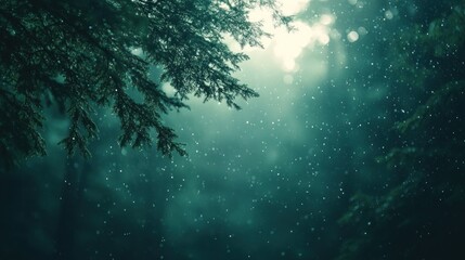 Forest rain, branches, bokeh, misty, moody, nature background