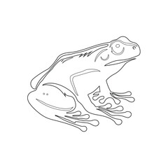Frog Line Art Illustration Vector With White Background.