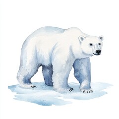 Fototapeta premium Watercolor illustration of a polar bear walking in a snowy landscape arctic environment nature scene, isolated on white background