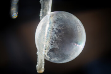 frozen soap bubble at a cold wintry morning 