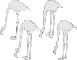 vector illustration of flamingo bird animal design with long legs and beak 