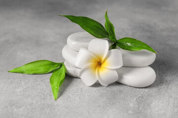 Spa stones, plumeria flower and green leaves on grey table, closeup