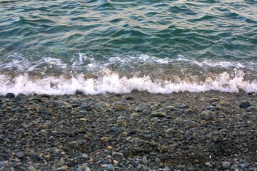 자갈밭 해변 (Pebble beach)