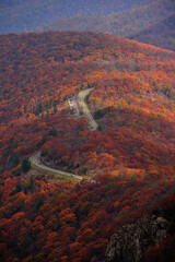 mountain road in fall