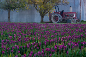 tractor in field