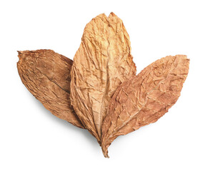 Dried tobacco leaves isolated on white, top view