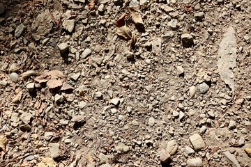 A close view of the gravel in the dirt ground surface.
