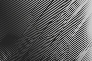 Fototapeta premium A vintage plane in monochrome tones
