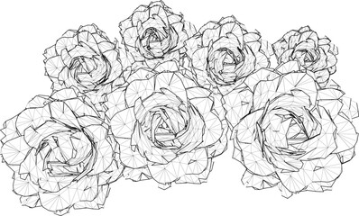 vector sketch design of a rose flower with poisonous thorns 