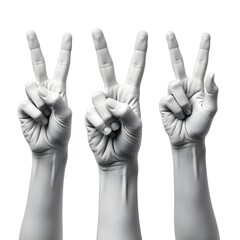 Obraz premium various hands gestures