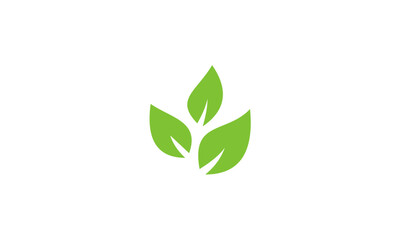 green leaf logo