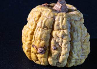 close-up of a decorative pumpkin, withered berry skin, pronounced relief